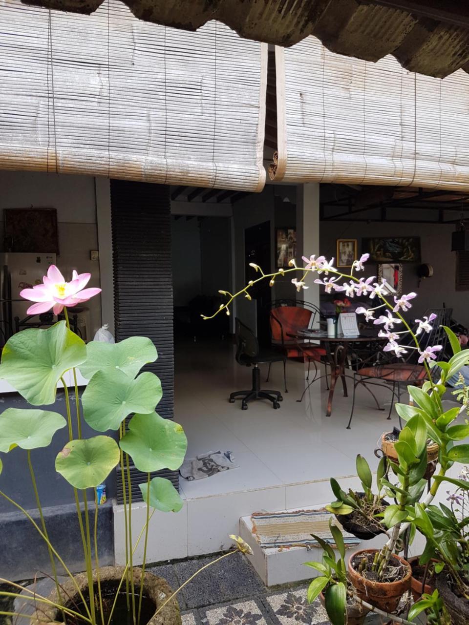 Mawar Homestay Canggu Buitenkant foto