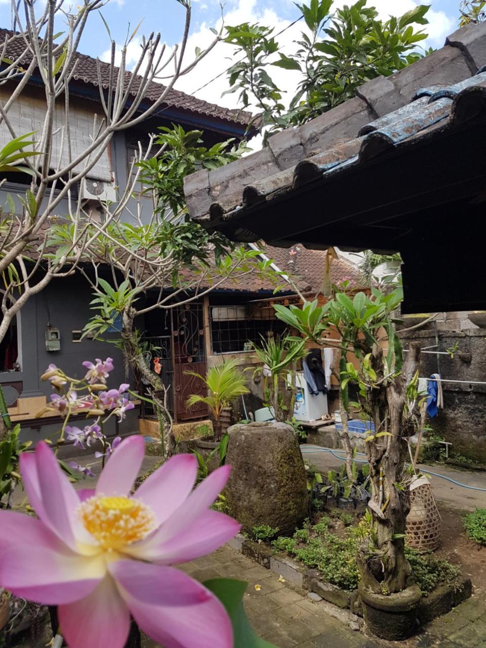 Mawar Homestay Canggu Buitenkant foto